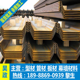 现货供应钢板桩 3#  4# U型钢板桩  厂家直销 批发 钢板桩