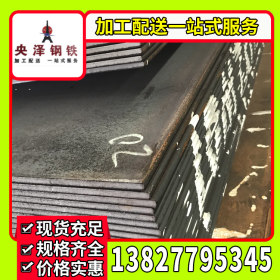 广东钢板 中厚板 船板 厂家直销 欢迎来图加工 切割 冲孔 拉弯