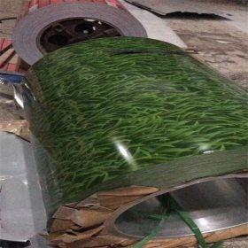 绿草彩涂卷小草彩涂板 滚涂聚酯漆彩色钢卷可加工开平 压瓦