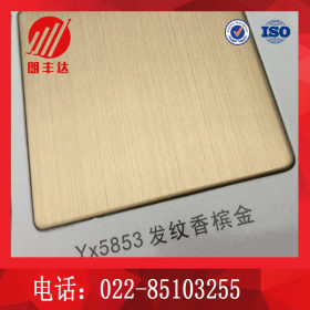 304不锈钢装饰板镀钛加工 镀钛异形订做 彩色镀钛耐腐蚀不锈钢板