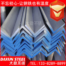 不锈钢角钢 热轧316l不锈钢角钢 316l不锈钢角钢 质量有保障