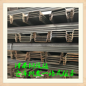 广西钢板桩 国标钢板桩 U型钢板桩 库存直销加工一站式服务