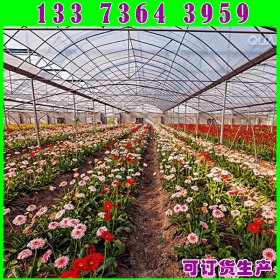 重庆专用温室大棚管 蔬菜大棚管 8寸热浸锌大棚钢管