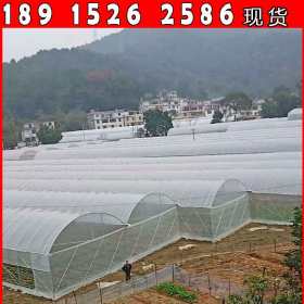 浙江绍兴专业生产农用大棚钢管，直销蔬菜大棚镀锌管品种齐