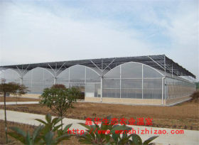 四川温室工程 单栋薄膜温室 塑料薄膜温室大棚 设计安装销售