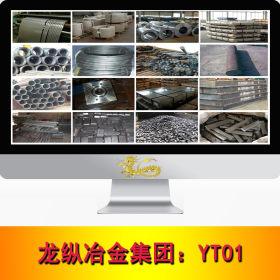 龙纵集团：YT01原料纯铁 YT01原料纯铁圆棒 圆钢 现货 可按需定制