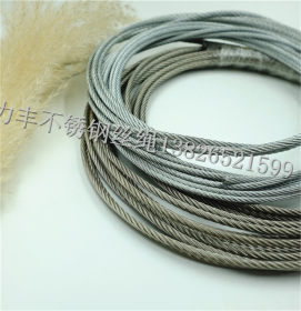 304/316不锈钢钢丝绳 镀锌包塑钢丝绳 安全吊绳 6mm钢丝绳