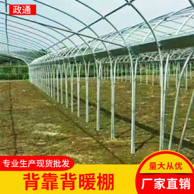 江西 安徽芜湖市蔬菜大棚 养殖大棚 、大棚钢架、蔬菜大棚骨架