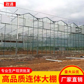 贵州都匀花卉水果智能玻璃温室大棚 热镀锌生态育苗智能温室大棚