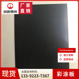 广东创武钢板 DX51D+Z 彩涂钢板 各类钢板加工 0.8*1000*2000