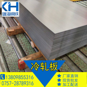 佛山雄海钢铁厂家直销 SPCC 冷轧板材料 现货供应规格齐全 2.0*12