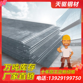 通钢 Q345B普通热轧板 国储库 乐从钢铁世界供应规格齐全加工定制