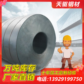 沙钢 Q345B 低合金卷 国储库 乐从钢铁世界现货供应可加工定制