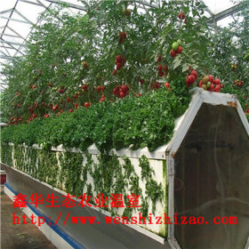 梯形草莓立体种植槽 pvc无土栽培槽 无土栽培设备 厂家定制