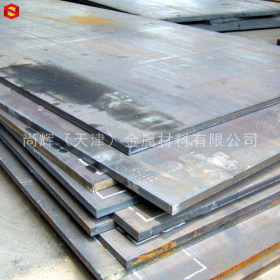 供应 06Ni9DR  合金钢板 压力容器板 06Ni9DR  耐热锅炉板