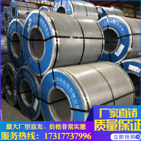 上海镀锌板厂家 供应热镀锌卷板DX51D镀锌板 高锌层275克镀锌卷