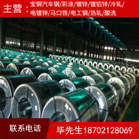 上海宝钢供盐化板 盐化钢板 耐腐蚀 冷库家电专用印花