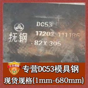 批发零切dc53钢 进口精密光圆dc53小圆棒 高耐磨刀具用dc53钢板