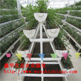 山东无土栽培厂家 有机蔬菜阳台水培 组合种植槽 专业定制