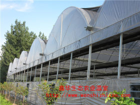 厂家供应 圆拱型连栋温室 养殖连栋大棚建设 上门量尺寸定制