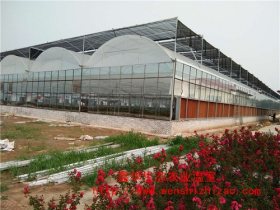 长期批发温室大棚 连栋蔬菜大棚 玻璃智能连栋温室 质量保证