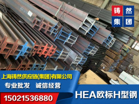 欧标H型钢 HEA100  IPBL100（96*100*5*8）库存充足材质S355