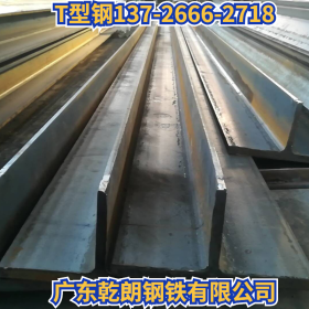 广东 T型钢生产厂埋弧焊T型钢剖解T型钢