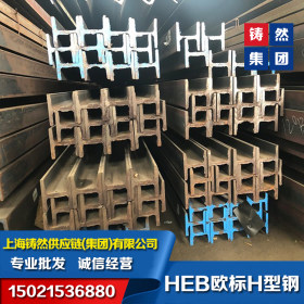 上海供应德标H型钢IPB300*300*11*19-S355J2德标型钢下差范围