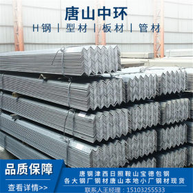 河南郑州直销镀锌角钢，热轧角钢，不锈钢角钢可定尺加工