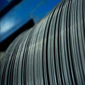 东莞川盛 冷镦钢盘条 SWRCH6R 碳素钢 圆钢 薄板 线材