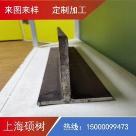 上海厂家批发热轧t型钢材 100*100t字钢